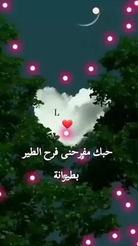 حبك مفرحنى فرح الطير بطيرانة👌🙈❤#وردة_الجزائرية #ميدو_m🙃 #الحب_الحقيقي #تك_توك_عربي #اكسبلور_اكسبلورر #creatorsearchinsights 
