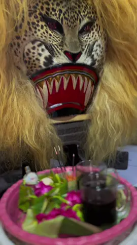 Ojo lali ngopi bolo ☕️ #singomangkujoyo #reog #reogponorogo #reogsurabaya #singobarong 