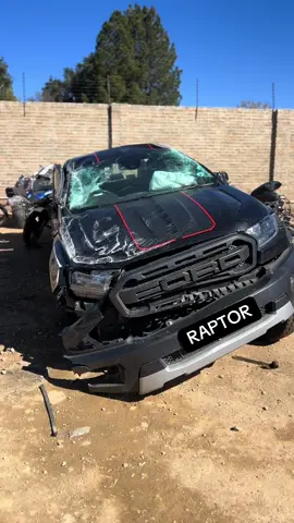 Raptor joined the league 