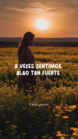 #sentimientos #amor #reflexionesdeamor #amorverdadero #paraenamorados
