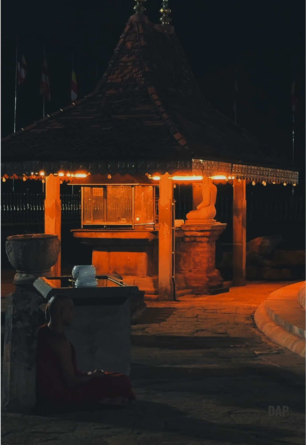 මොනවත්ම නැති ලෝකෙක... හිස් අතින් යන මිනිස්සු... අතැර බලා සිටීම මිට මොලවා රැක ගැනීමට වඩා සැනසිලිදායකයි. - dap #meditation #abandonment #silentmorning 
