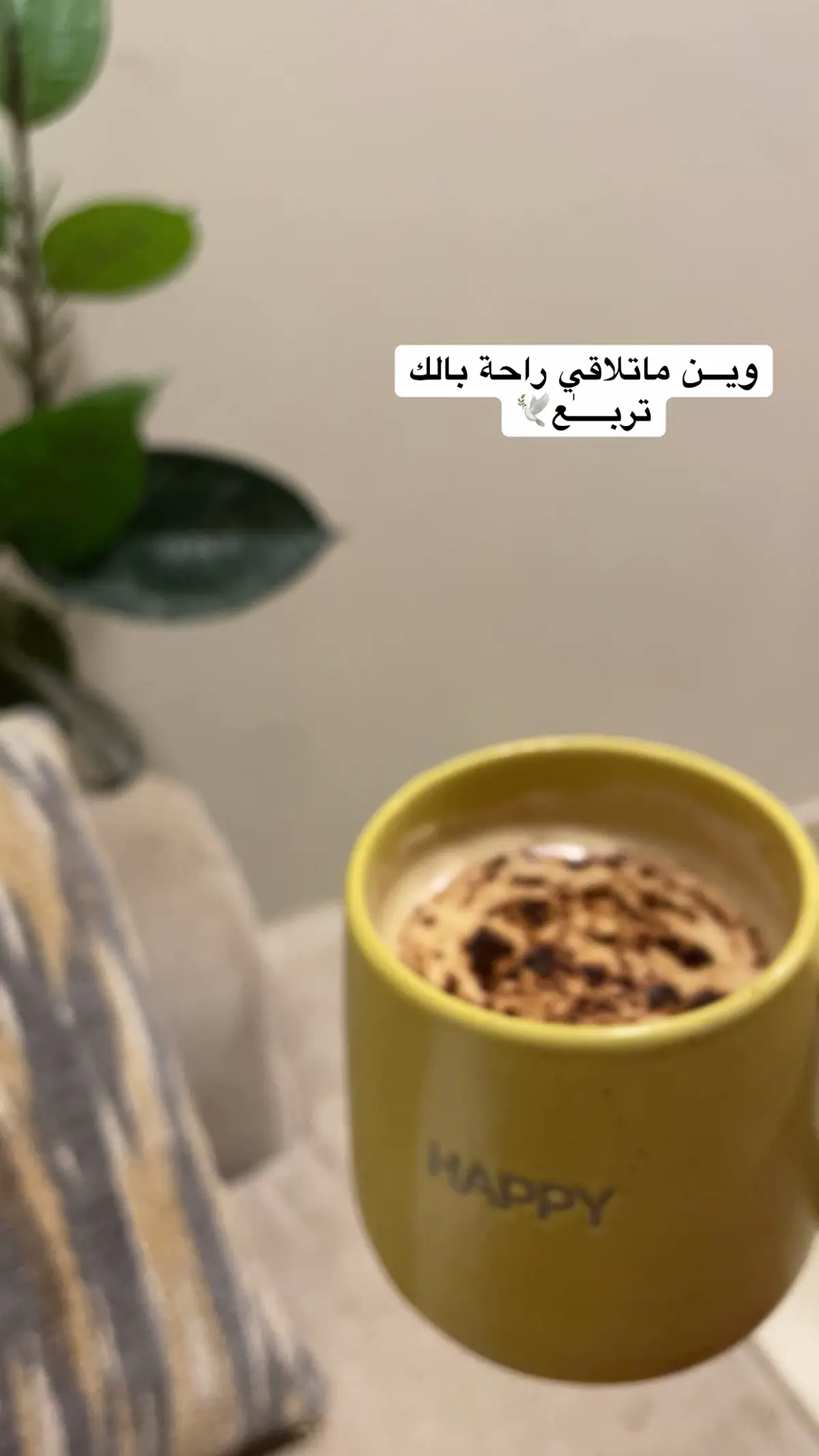 #اكسبلورexplore 