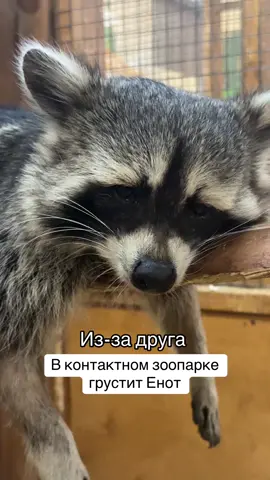 #маккипакки #одесса #ситицентр 