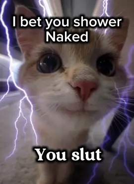 Stinky 🤢#CapCut #shitpost #core #bladee #silly #cs2 #Valorant #cs2memes #cat #sillycat #yippie #ohnepixel #showertok 