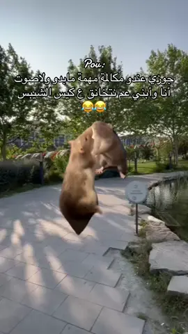 #Meme #MemeCut  #😂😂  #🙂 #حطولي_قلب_احمر❤  #واعادة_النشر🔃 