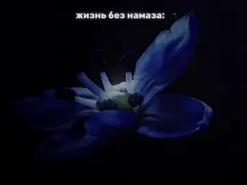 من اهتم بالصلاة اهتم بروحه. Кто бережёт намаз — тот бережёт свою душу #islamic #ислам_религия_мира_добра #мусульмани #fyp #рекомендации #альхамдулиллах #намаз 