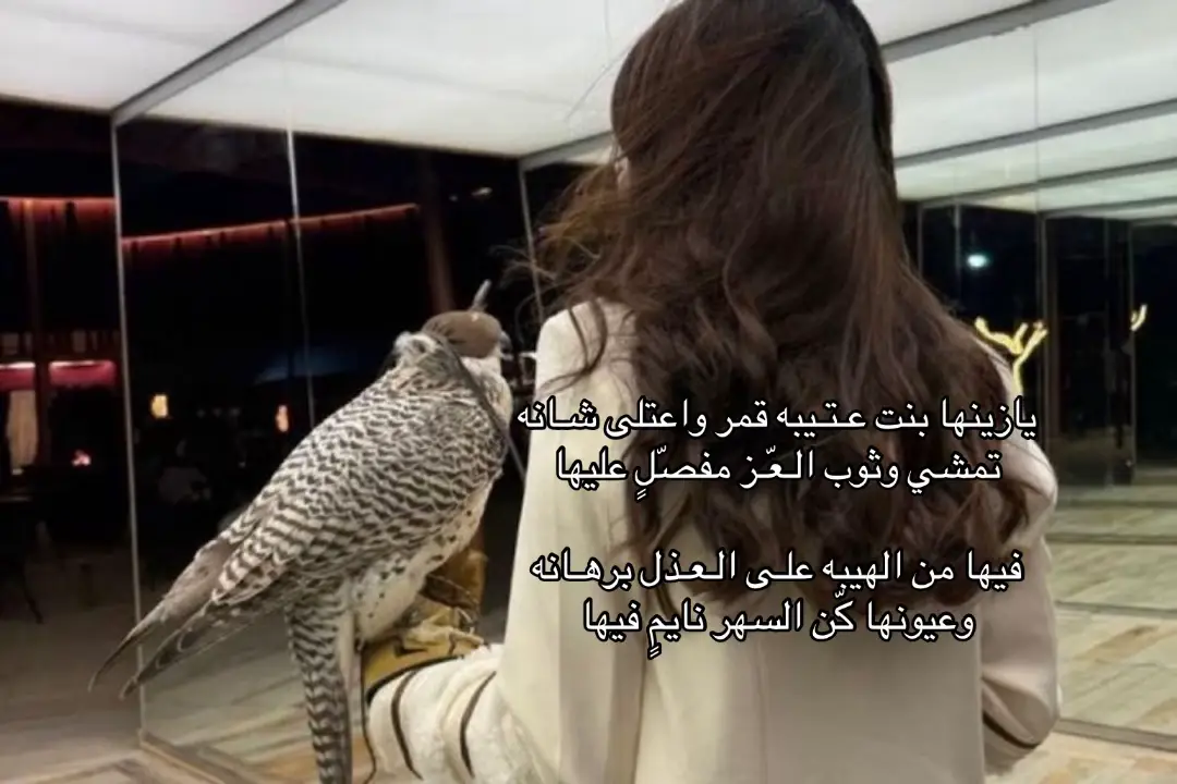 #عتيبه #عتيبه_الهيلا #قصايد #foryou #fyp #4u #511 