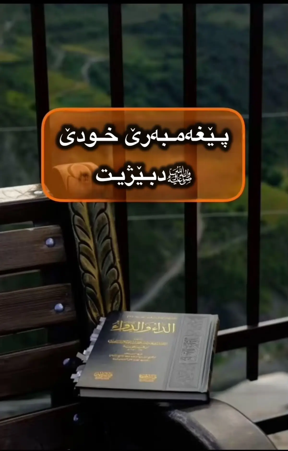 #زاخو_دهوك_هولير_سليماني_ئاكري_سيمي #دھوك #ئـاكرێ #بادينان #حەديث #foryou #creatorsearchinsights 