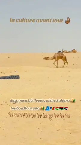 #dazagara🇷🇴✌🔥🇱🇾✌🇳🇪 #dazagara #toubouniger #tchadien🇹🇩tiktok #bet #kanem #moussoro #ga #dazagara🇷🇴✌🔥🇱🇾✌🇳🇪👑🇳🇬 #gourane #dazagare #daza  #gouranetchad🇹🇩 #touboudumonde #tchadiangirl🇹🇩  #touboudumonde🇷🇴🇱🇾🇳🇪🇸🇩🇺🇦✌️ 