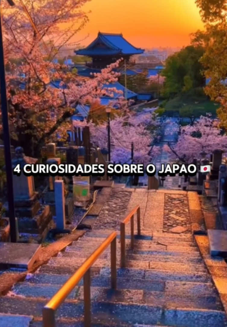 4 fatos bizarros e curiosos sobre o Japão que ninguém te contou! 🇯🇵 #curiosidadesjapão #japãoincrível #curiosidadesdomundo #viagemjapão #culturajaponesa #mundocurioso #fatosinteressantes #roteirosdeviagem 