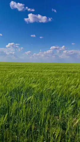 #steppe #kazakhstan 