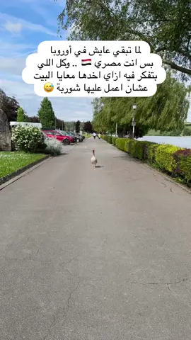 بطه حياتي 😅