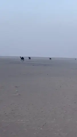 ##