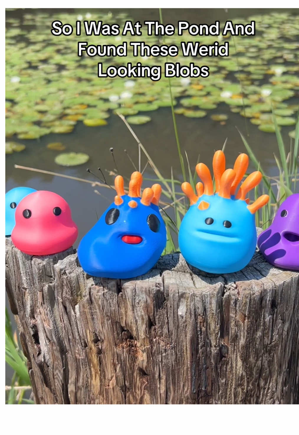 What Are These Species? 🤔 #fyp #tiktokshoprestock  #flopper #🛍️ #coralbuddies #keychain #newseason #newfortniteseason #clips #clip #fortnitegame #xp #xpmaps #levelup #fast #method #methods #battlepass massive #massive tiktok shop deals and discounts for cheap?! 🛍️  New In Real Life Fortnite Chapter 6 Season 3 Super Sprites Available Now On The TikTok Shop For Cheap! 👀   #fortnitegamer #fortnitegame #fortniteclip #fortnitefunnymoments #fortnitefunnyfyp #fortniteaccessory #sign  #peely #fortnitebattlepass #newupdate #new #fortnitegameplay #2025 #memes #prop #inreallife #props #gaming #GamingSetup #cool #gamingsetups #roomdecor #roomdecoration #roomdecorations #setup #actionfigures #actionfigure #figurine #statue #fortniteog #irl IRL #accessory #accessories #accesories #accesorie shop #fortnitesprite #fortnitesprites  #tiktokshopblackfriday #tiktokshopblackfridaysale #tiktokshopcybermonday #tiktokshopsale #tiktokshopsales #coupon  #gifts #giftsforher #giftsforhim #giftguide #giftideas #giftidea #gaggift   #tiktokshop #tiktokshopfinds #tiktokmademebuyit #tiktokshopholidayhaul #tiktokshopholidayhauls #fortniteclip #fortniteclips  #fortnitebr #fortnitefunny #fortnitebattle #fortnitebattleroyale #fortnitebattleroyal #fortnitememe #fortnitememes #funny #tiktokshopsummersale #tiktokshopspringsale #fortnitefyp  #tiltokmademebuyit #tiktokshopping #tiktokshopfind #shopping #shop #shops #cheap #deal #sale new  #duo #cute #fortnite fortnite battle Royal fortnite battle Royale #crown #victoryroyale #victoryroyal #medallion #medallions #medallionsfortnite #victory #vbuck #vbucks #rebootcards #card #tiktokshopcreatorpicks #funnygift #funnygifts #reboot #Victorycrown #unreal #ranked  #gameing #win 😭#😭 #ogfortnite #og #ogfortnitevideos #ogfortniteclips #ogfort #trending #trend #toys  #3d #box #3dbox  #fortnight shop shop  #fortnitexpglitch #fortnitexpmaps #fortnitexp #fortnitexpmap #ShopLocallyMade #sprites #sprite #superman #chapter6season1 #dave #dash #newsprites #treasurefinds #decor #decoration #decorations 