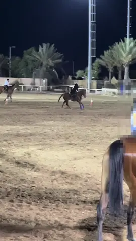 😾#ماشاء_الله_تبارك_الله #خيل #الطايف #قفز_حواجز 