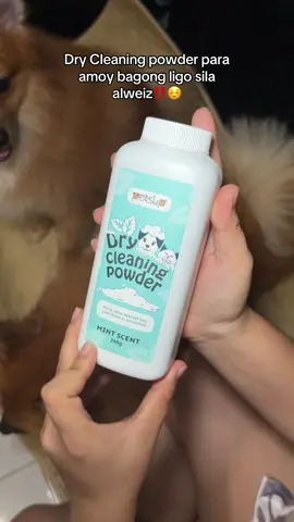 Ginagamit ko to lalo kapag hindi sila malaliguan para mabango pa din #drycleaningpowder #petsupdrycleaningpowder #petsupplies #petsupplies #dogsoftiktok #dogpowder 