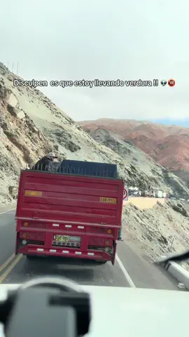 #traileroarequipeño #mafiajoven #mafiajoven #huelgamineros #verduleros🥦🥔🥕🍅 #viralvideos #humor #international9200  lo siento !!  Y los comentarios negativos en 3 2 1 … y por si es que me sacaron la madre. La suya por si las moscas 🖕🏼