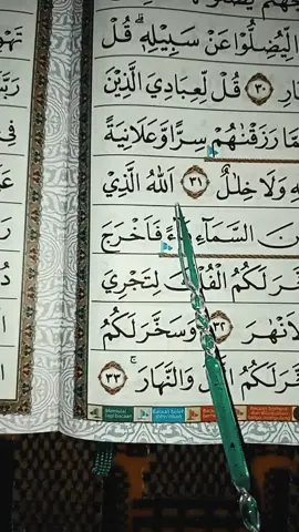 Qur'an Surah Ibrahim ayat 32-33   Suara 🎙️ : H. Muammar ZA 