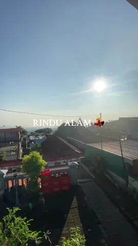 pesona gang buntu jam pitu isuk ☀️    .  . .           #pasuruan24jam #fypシ 