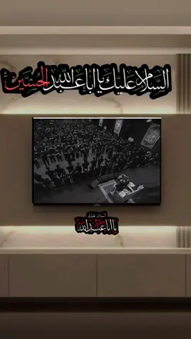 يمة ترى الوالدة لو ثكل ونها #مرتضى_حرب  #بابي انت وامي يا ابا عبدالله ، ، ، #لطميات_حسينيه #مرتضى_حرب #تصميم_فيديوهات🎶🎤🎬 #محرم_1443_ويبقى_الحسين 