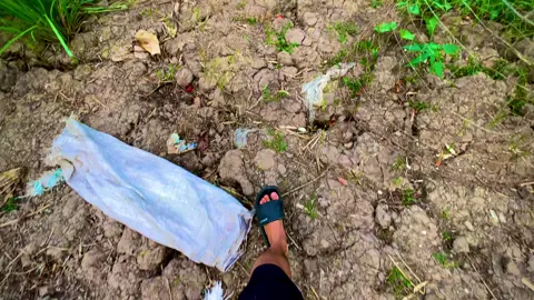 Mang trầu cau qua hỏi cưới em liền nhen🥰🌾#chill #binhyen #tamtrang #canhdepthiennhien #xuhuongtiktok #68kiengiang 
