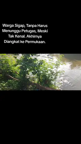 Evaluasi di Aliran Sungai Tembung, tepatnya di Jalan Duku Raya, Desa Bandar Khalipah, Kecamatan Percut Sei Than, Kabupaten Deli Serdang, Sumut. Penemuan sekitar pukul 08.00 WIB, oleh Warga yang melintas, sehingga membuat masyarakat empati dan ramai-ramai mbantu mengevakuasi. Ciri-ciri pakai baju lengan panjang bermotor batik atau bunga. Mengenaoan celana ponggol boxer. Wanita paruh baya (sekitar 50-an). #Hanyut #Sungaitembung #Sungaijalandukuraya #Perempuanhanyut #Wanitahanyutdisungai #Evakuasioranghanyut #Wargamengangkatoranghanyut