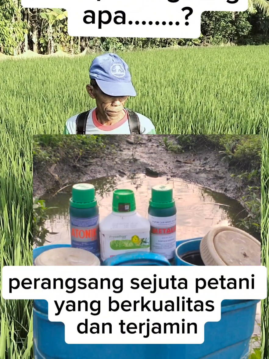 perangsang sejuta petani #metalikoma  #atonik 