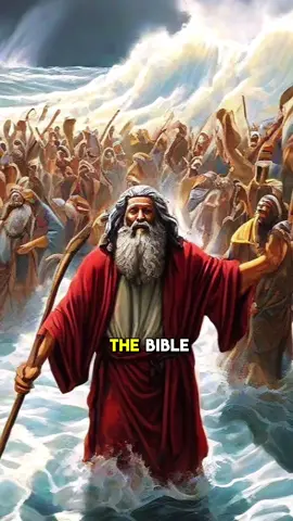 Moses didn’t read the Bible, Enoch never read the scriptures, Abraham never went to seminary; yet they all walked with God. #spiritualawakening #faith #trustgod #chosenone #truth #fyp 