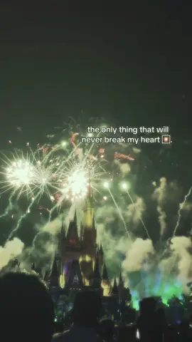 #fyppp #fireworks #happyfourthofjuly 💐💐🎇