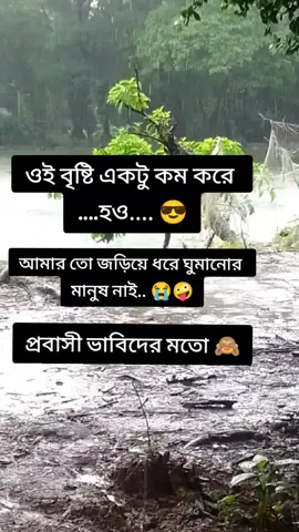 এই বৃষ্টির মধ্যে মন চাই গো#tiktok #tiktokforyou #tiktokforyoupage #tiktokvairalbangladesh🇧🇩bd #tiktokbdofficial🇧🇩 #tiktokbdbangladesh🇧🇩 #tiktokfannyvideo 