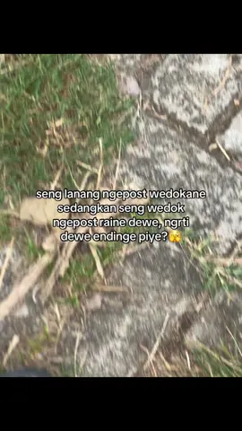 #ardynsyh 