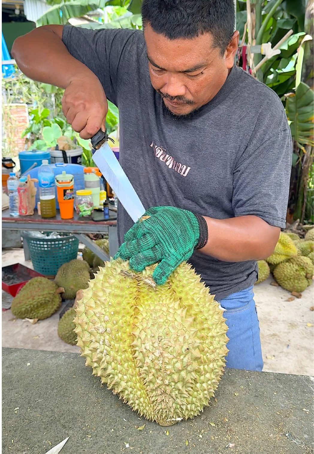 Turning Durian into Crispy Gold Snacks in Thailand 📍ทุเรียนทอดนันท์นภัส  order - 092 505 1624 https://maps.app.goo.gl/QYK4LhcPinyzVCx36 #durian #snacks #viral 