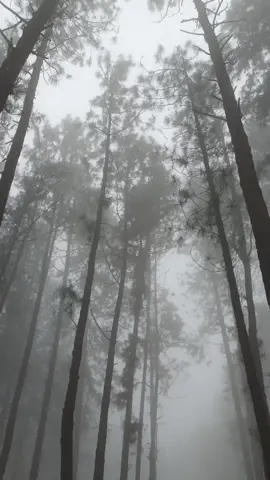 the video that naturally black and white #taylorswift #exile #folklore #foggy 