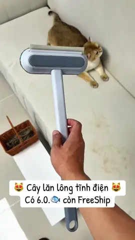 Cây lăn lông tĩnh điện dành cho sen đây rồi #chamsocchomeo #yeuchomeo #review #senvaboss #xuhuong #pet #cat #tieubonday #mèo #thucung #giohang🛒 #caylanlongmeo #caylanlong #caylanlongtinhdien 