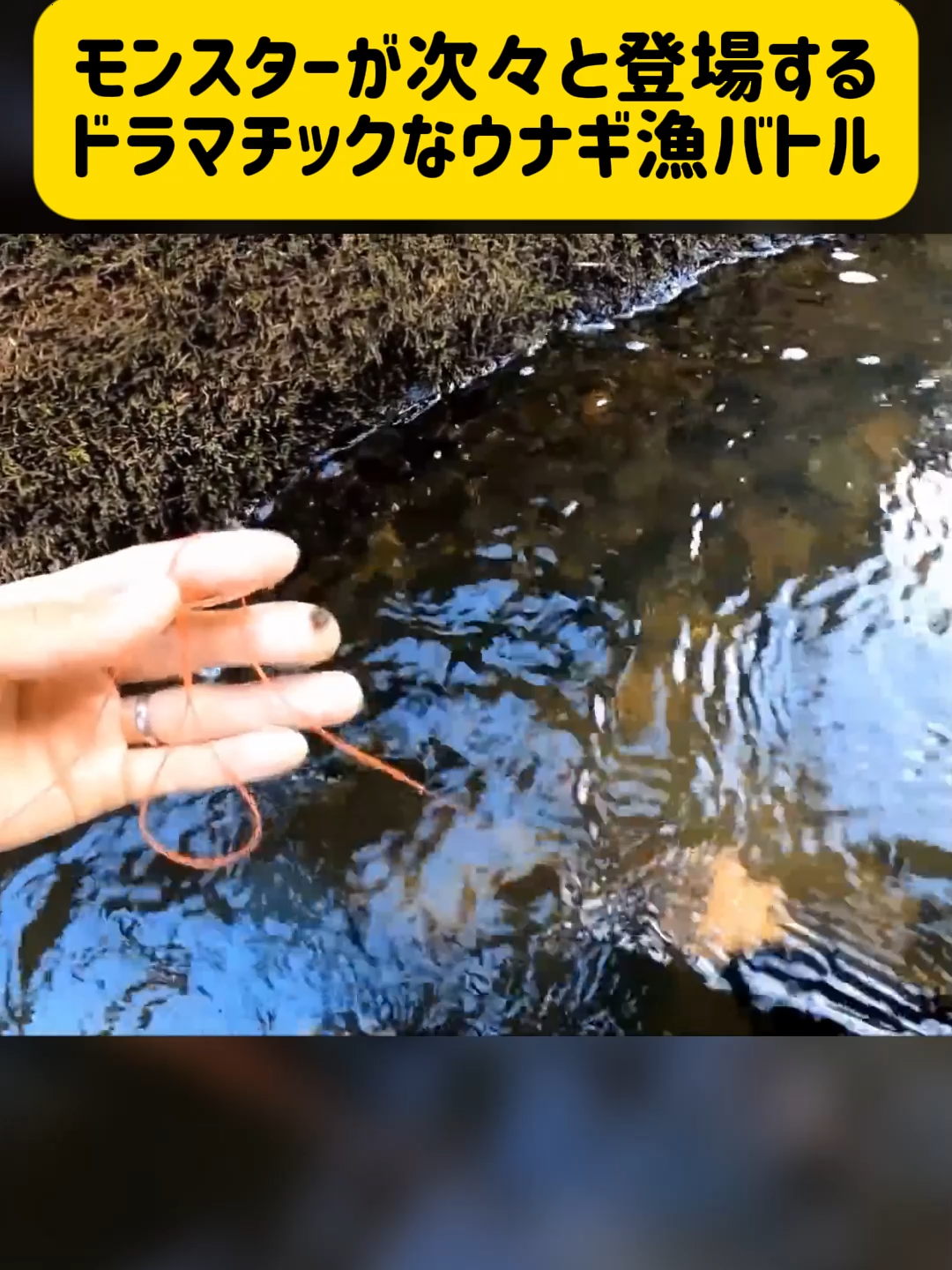 モンスターが次々と登場するドラマチックなウナギ漁バトル (2/2)#アウトドア #うなぎ #うなぎ釣り #鰻 #foryou #fyp