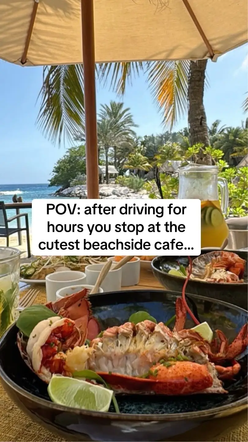#foodiefinds #roadtriphacks #musttryspots #FoodTok #FindYourOverlook #overlook #e6asz