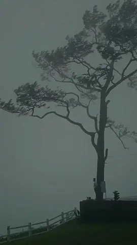 #cambodia #kirirom #camping #rain #foggy  rainy day. 