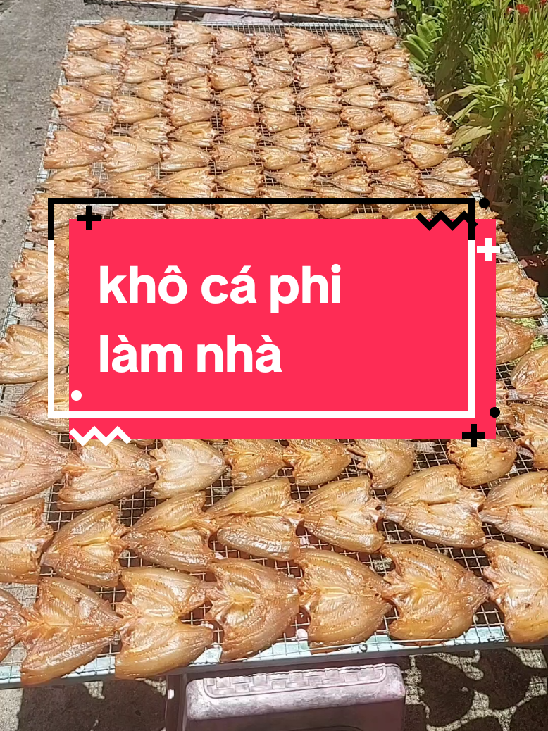 khô cá phi #khôcaphinhalam #xuhuong #đătsanmientay #vuakhodiemmy #khocaphikiengiang 