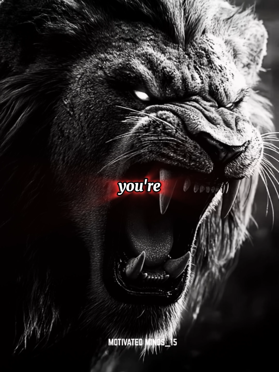 Always be ready to survive alone... #motivationalvideo #motivatedminds #motivation #motivationtosuccess #inspirational #lifetruewords #mindmotivator #lifequotes #mindset #motivationalquotes #mindchanger #foryou #mindsetoftruewords #mindsetoftruewords #1Mviews #mindchanger #lifechanging #foryoupage 