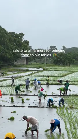 salute to all farmers! 🫡