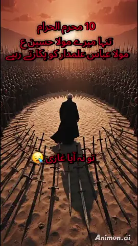 shahadat Mola Hussain a.s #10muharram #foryoupage❤️❤️ #foru #viral #hussain #🚩🚩🚩 @tiktok creators 