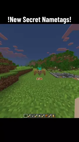 minecraft New Secret Nametags #Minecraft #minecrafter #minecrafts #minecraftmemes #minecraftmeme 