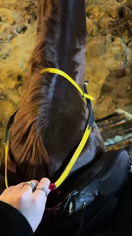 #عشوائيات #اكسبلورر #تصويري📷 #مربط_خيول #خيل_وخياله🐎 #الطائف #CapCut #❤️❤️ 