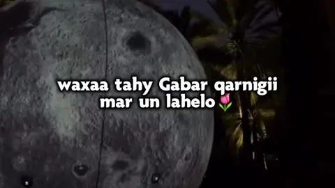 wlhi waxa tahyy gabr qarnigi mar lahelo #foryoupage #standwithkashmir #yoongi #funny #tiktokuni #foryoupage #fyyyyyyyyyyyyyyyyyyy 