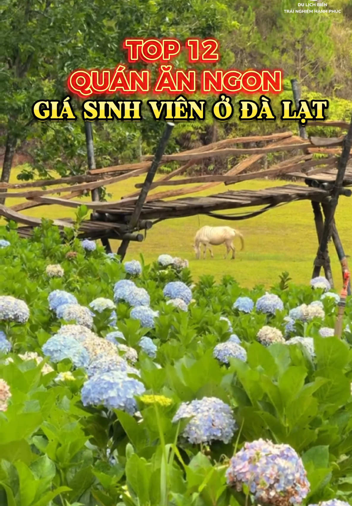 🍽️ ĐI ĐÀ LẠT MÀ CHƯA BIẾT 12 CHỖ NÀY... ĐÚNG LÀ PHÍ CẢ CHUYẾN ĐI! Đừng nghĩ Đà Lạt chỉ có quán sang – có những chỗ ngon điên đảo mà giá sinh viên đến giật mình! Dân bản địa ăn mòn tuổi thơ, khách du lịch thì ăn xong là tìm cách quay lại… 📍Toàn những chỗ không biển hiệu rình rang – nhưng lúc nào cũng đông nghẹt! #seatravel #viralvideo #viraltiktok #xuhuong #xuhuongtiktok #travel #dulich #vietnamfood #dalat #dalatreview #amthucdalat #dalattrip #review #amthucvietnam #dulichvietnam 