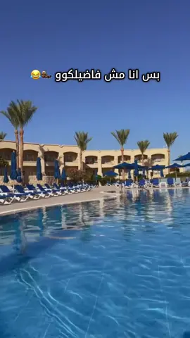 🦦🏝️⛱️ #travel #شرم_الشيخ #سفر #✈️ 