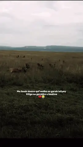 Kuma iloobin qalbiga kaa ogsooni😭🫶🏽😔🖤#foryou #somalitiktok #fypp #foryoupage #fypsounds #snapchat 