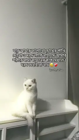🫠 #safa_96x #tumr_ammu🖤 #unfrezzmyaccount #omi_96x #fyppppppppppppppppppppppp 