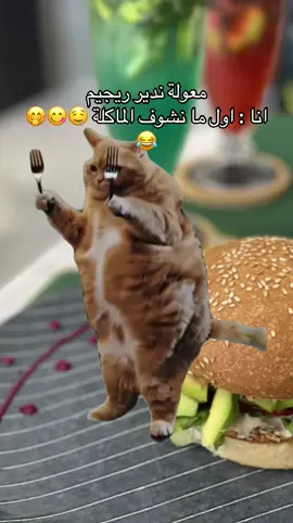 🤣 #MemeCut #pourtoii #🇩🇿 #tiktokdz #oran31 #‏#الجزائر🇩🇿😘تيك_توك_فلسطين🇵🇸_تونس🇹🇳 #الجزائر🇩🇿😘تيك_توك_ #regime #bouffe #manger #Meme #MemeCut 