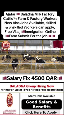 Qatar 🇶🇦 Baladna Milk Factory Cattle🐄 Farm & Factory Workers New Visa Jobs Available, skilled  & unskilled Workers can apply, Free Visa, 🇶🇦Immigration Online 🇶🇦Farm Submit For the job🇶🇦🇶🇦 #dohaqatar🇶🇦 I #jobqatar🇶🇦 #jobqatar #jobinterview #jobinqatar #jobinterview #jobinqatar #jobinqatar2024 #qatar #qatartiktok #fyp #foryou 